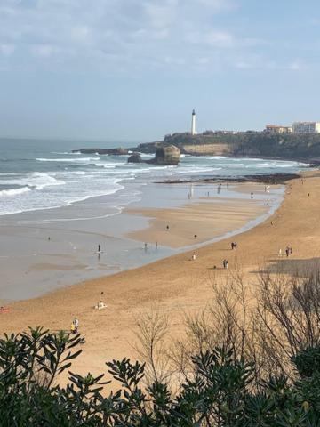شقة Waikiki بياريتز المظهر الخارجي الصورة